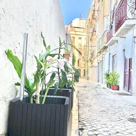 Frank's House & Happy Downtown *