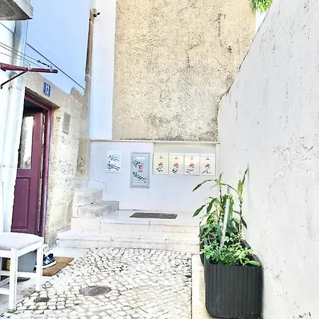 Frank's House & Happy Downtown Lisbon