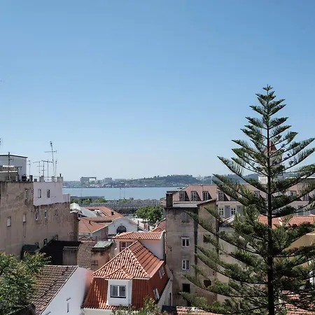 Frank's House & Happy Downtown *