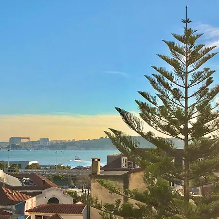 Frank's House & Happy Downtown Apartment *