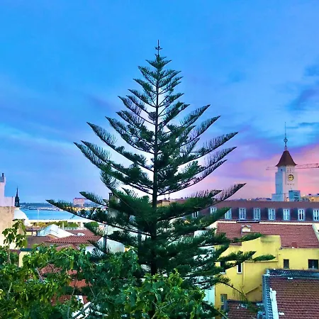 Frank's House & Happy Downtown 아파트 *